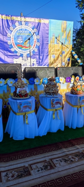 Областные «Дожинки» – праздник хлеборобов Брестской области